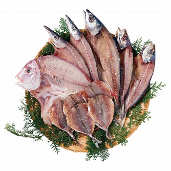 ܂n Đ(̂) Čb (WU-30)